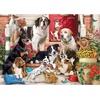 image:imageTrefl Doggy Fun Puzzles Hidden Shapes 1000  43 Pieces hind Hidden Shape Puzzles Unusual Jigsaw Dogs Animals Creative Entertainment Fun for Adults and Children from 14 Years Old