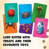 image:imageTrefl Kitties  Crazy Board Game for the Whole Family Cats for Cat Lovers Party Game Full of Plot Twists for Adults and Children Aged 6 and Over