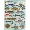 image:imageTrefl Premium Plus Quality  Puzzle Finders Keepers Fish  500 Pieces Timeless Motifs Series Pieces for Adults and Children Aged 10 and up
