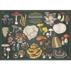 image:imageTrefl Premium Plus Quality  Puzzle Finders Keepers Mushrooms  500 Pieces Timeless Motifs Series Pieces for Adults and Children Aged 10 and Above