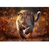 image:imageTrefl Wild Leopard 1000 Jigsaw Puzzle Premium Plus Photo Odyssey 27x19 Unique Photographic Series Perfect Matching of Elements for Adults and Children from 14 Years Old