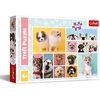 image:imageTrefl Dog Friendship 160 Piece Jigsaw Puzzle Red 16x11 Print DIY Puzzle Creative Fun Classic Jigsaw for Adults and Children from 6 Years Old