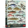 image:imageTrefl Premium Plus Quality  Puzzle Finders Keepers Fish  500 Pieces Timeless Motifs Series Pieces for Adults and Children Aged 10 and up