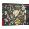 image:imageTrefl Premium Plus Quality  Puzzle Finders Keepers Mushrooms  500 Pieces Timeless Motifs Series Pieces for Adults and Children Aged 10 and Above