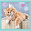 image:imageTrefl 3in1 Jigsaw Puzzle Sweet Animals Print DIY Puzzle Creative Fun Classic Jigsaw for Adults and Children from 4 Years Old
