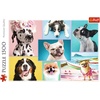 image:imageTrefl Cute Dogs 1500 Piece Jigsaw Puzzle Red 33x 23 Print DIY Puzzle Creative Fun Classic Puzzle for Adults and Children from 14 Years Old