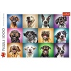 image:imageTrefl Funny Dog Portraits 1000 Piece Jigsaw Puzzle Red 27x19 Print DIY Jigsaw Creative Fun Classic Puzzle for Adults and Children from 14 Years OldFunny portrait collage