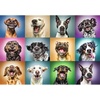 image:imageTrefl Funny Dog Portraits 1000 Piece Jigsaw Puzzle Red 27x19 Print DIY Jigsaw Creative Fun Classic Puzzle for Adults and Children from 14 Years OldFunny portrait collage