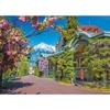 image:imageTrefl Merano Italy 2000 Piece Jigsaw Puzzle Red 38x27 Print DIY Puzzle Creative Fun Classic Puzzle for Adults and Children from 15 Years Old