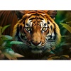 image:imageTrefl Wild Tiger 1000 Piece Jigsaw Puzzle Red 27x19 Print DIY Puzzle Creative Fun Classic Jigsaw for Adults and Children from 14 Years Old