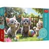 image:imageTrefl  The Treflik Family Three Kittens  Puzzle 60 Elements  Colorful Puzzles with Kittens Entertainment Fun for Kids 4 and up