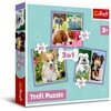image:imageTrefl 3in1 203650 Piece Jigsaw Puzzle Lovely Dogs Print DIY Jigsaw Creative Fun Classic Puzzle for Adults and Children from 4 Years Old