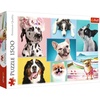 image:imageTrefl Cute Dogs 1500 Piece Jigsaw Puzzle Red 33x 23 Print DIY Puzzle Creative Fun Classic Puzzle for Adults and Children from 14 Years Old