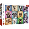 image:imageTrefl Funny Dog Portraits 1000 Piece Jigsaw Puzzle Red 27x19 Print DIY Jigsaw Creative Fun Classic Puzzle for Adults and Children from 14 Years OldFunny portrait collage