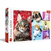 image:imageTrefl Happy Cats 1000 Piece Jigsaw Puzzle Red 27x19 Print DIY Creative Fun Classic Puzzle for Adults and Children from 14 Years Old
