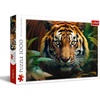 image:imageTrefl Wild Tiger 1000 Piece Jigsaw Puzzle Red 27x19 Print DIY Puzzle Creative Fun Classic Jigsaw for Adults and Children from 14 Years Old