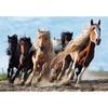 image:imageTrefl Galloping Horses 1000 Piece Jigsaw Puzzle Red 27x19 Print DIY Puzzle Creative Fun Classic Jigsaw for Adults and Children from 14 Years Old