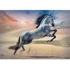 image:imageTrefl Majestic Horse 1000 Piece Jigsaw Puzzle Red 27x19 Print DIY Puzzle Creative Fun Classic Jigsaw for Adults and Children from 14 Years Old