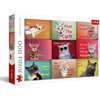 image:imageTrefl Funny Cats Faces 1500 Piece Jigsaw Puzzle Red 33x23 Print DIY Puzzle Creative Fun Classic Jigsaw for Adults and Children from 14 Years Old