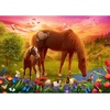 image:imageTrefl  Horses on The Meadow  Puzzle 500 Pieces  Puzzle for Animal Lovers Horses DIY Creative Entertainment Fun Classic Puzzles for Adults and Children from 10 Years