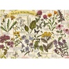 image:imageTrefl Herbarium Medicinal Herbs 500 Piece Jigsaw Puzzle Red 19x13 Print DIY Puzzle Creative Fun Classic Jigsaw for Adults and Children from 10 Years Old