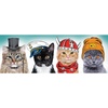 image:imageTrefl Panorama Doggie Fashion Week 500 Piece Jigsaw Puzzle Red 26x9 Print DIY Puzzle Creative Fun Classic Jigsaw for Adults and Children from 10 Years OldPanorama Fluffy Team 500 Piece Jigsaw Puzzle