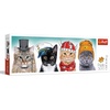 image:imageTrefl Panorama Doggie Fashion Week 500 Piece Jigsaw Puzzle Red 26x9 Print DIY Puzzle Creative Fun Classic Jigsaw for Adults and Children from 10 Years OldPanorama Fluffy Team 500 Piece Jigsaw Puzzle