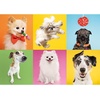 image:imageTrefl Dogs 500 Piece Jigsaw Puzzle Red 19x13 Print DIY Puzzle Creative Fun Classic Jigsaw for Adults and Children from 10 Years Old