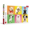 image:imageTrefl Dogs 500 Piece Jigsaw Puzzle Red 19x13 Print DIY Puzzle Creative Fun Classic Jigsaw for Adults and Children from 10 Years Old