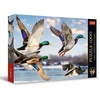 image:imageTrefl Premium Plus Quality  Mallards in Flight  1000 Pieces Timeless Motifs Series Perfect Piece Fit for Adults and Kids 14