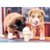 image:imageTrefl Ice Cream time 500 Piece Jigsaw Puzzle Red 19x13 Print DIY Puzzle Creative Fun Classic Jigsaw for Adults and Children from 10 Years Old