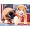 image:imageTrefl Ice Cream time 500 Piece Jigsaw Puzzle Red 19x13 Print DIY Puzzle Creative Fun Classic Jigsaw for Adults and Children from 10 Years Old