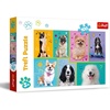 image:imageTrefl in the World of Dogs 100 Piece Jigsaw Puzzle Red 16x11 Print DIY Puzzle Creative Fun Classic Puzzle for Adults and Children from 5 Years Old