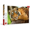 image:imageTrefl Tiger Portrait 500 Piece Jigsaw Puzzle Red 19x13 Print DIY Puzzle Creative Fun Classic Puzzle for Adults and Children from 14 Years Old