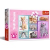 image:imageTrefl Cute Cats 60 Piece Jigsaw Puzzle Red Print DIY Puzzle Creative Fun Classic Jigsaw for Adults and Children from 4 Years Old