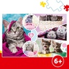 image:imageTrefl 15371 Puzzle 160
