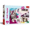 image:imageTrefl 15371 Puzzle 160