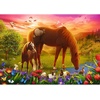 image:imageTrefl Family of Horses 500Piece Jigsaw Puzzle 19x13 Print DIY Puzzle Creative Fun Classic Jigsaw for Adults and Children from 10 Years Old